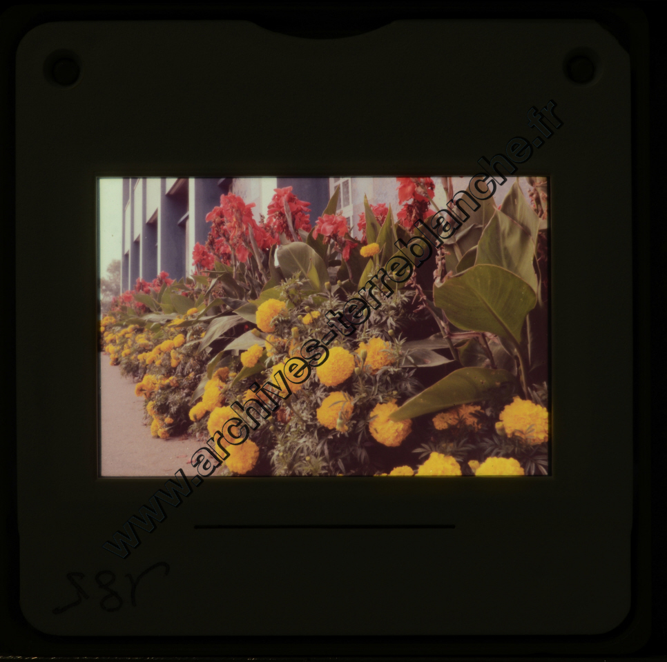 Sochaux Espace Industriel (partie 1)