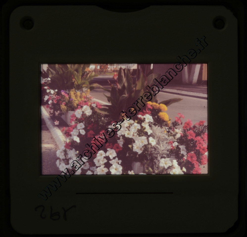 Sochaux Espace Industriel (partie 2)