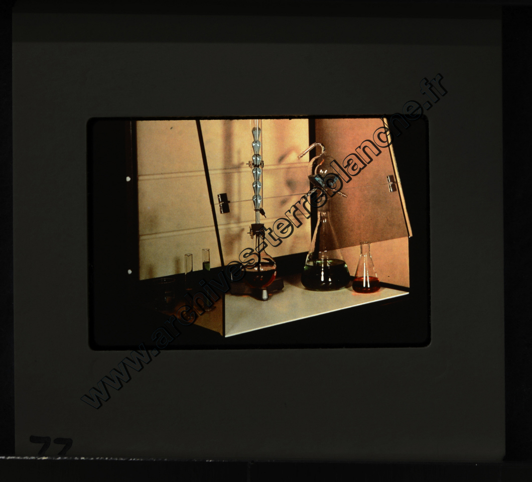 La Protection de la vue