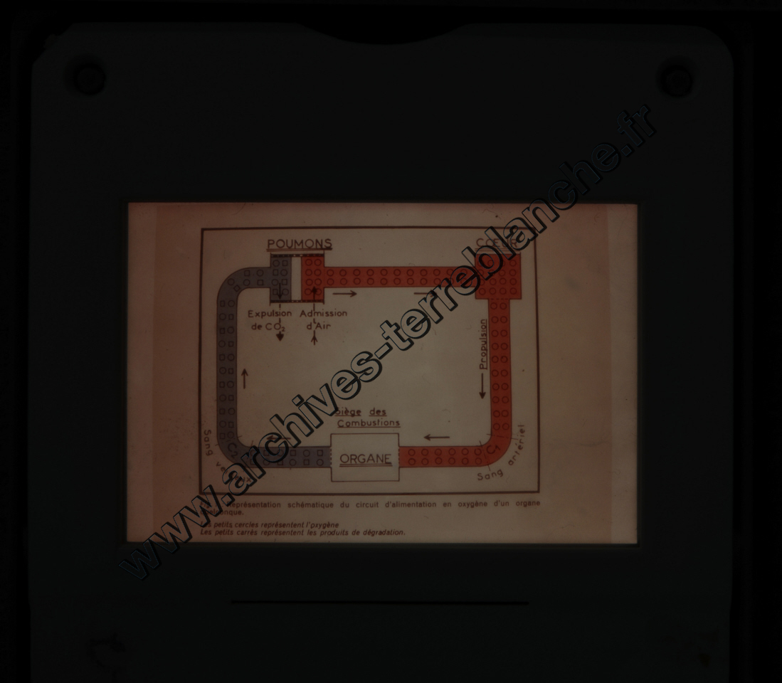 Fréquence Cardiac (partie 2)