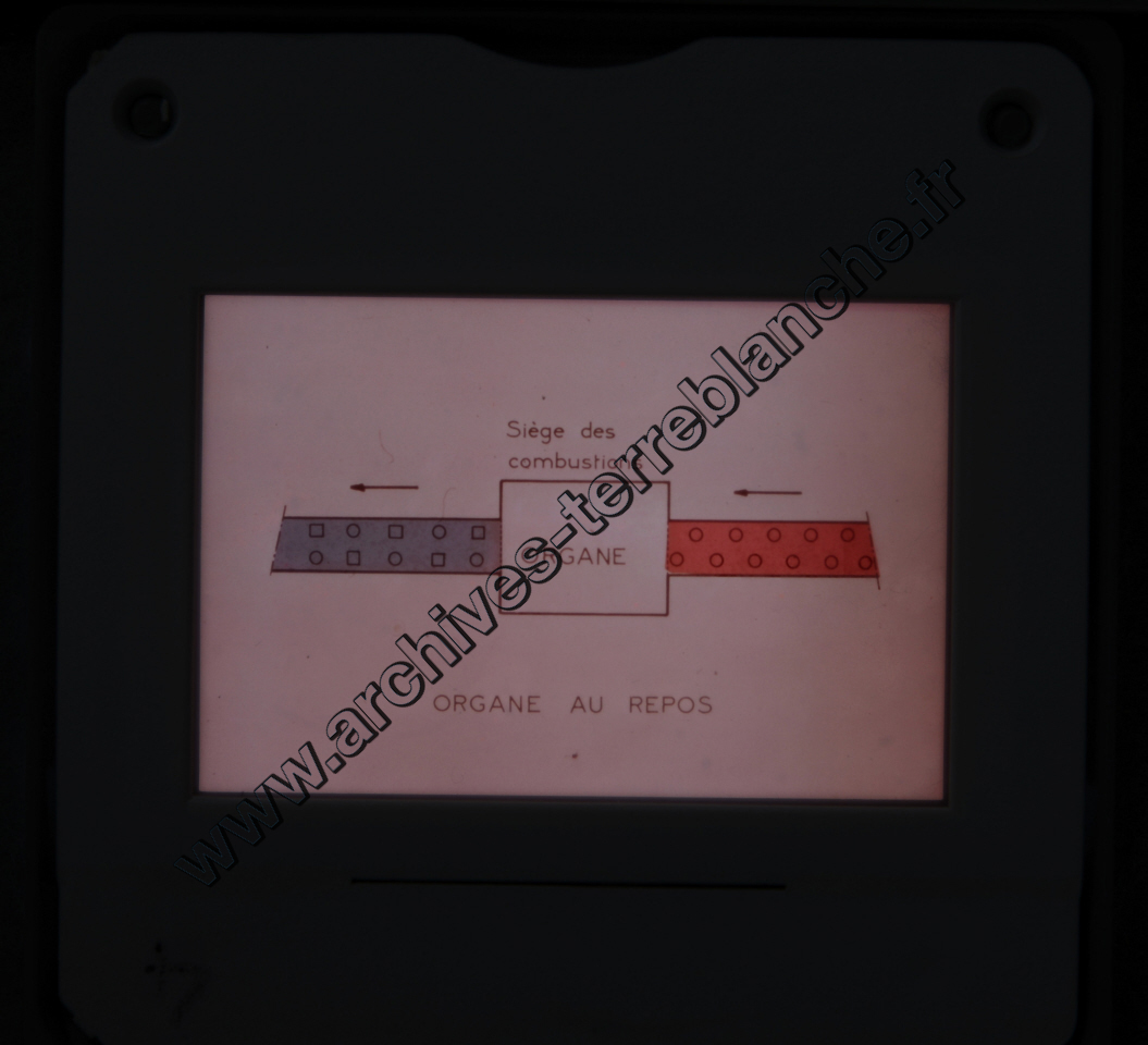 Fréquence Cardiac (partie 1)