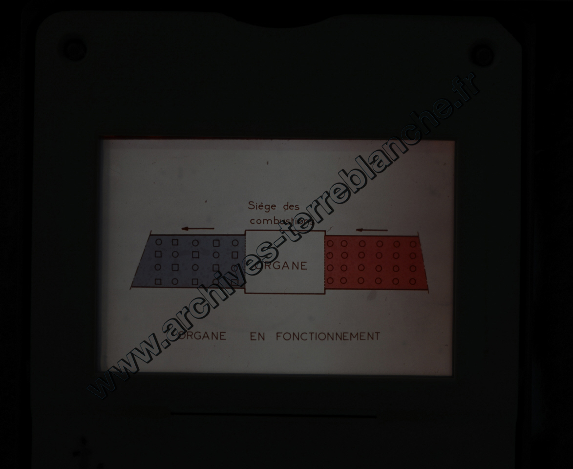Fréquence Cardiac (partie 2)