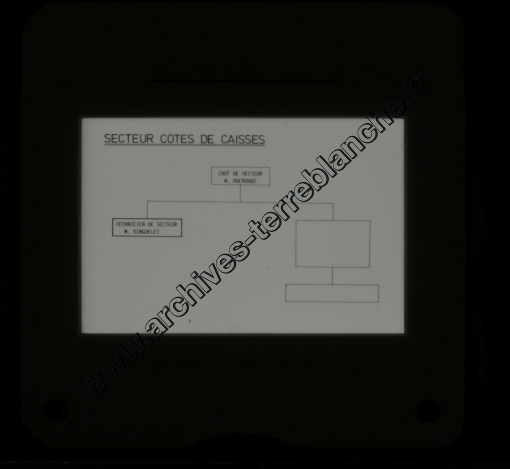 Présentation D60 ves