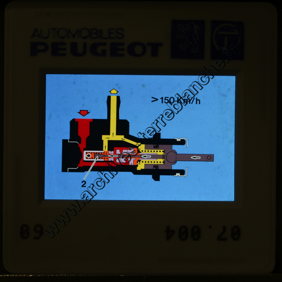 Formation "La Direction Assistée"