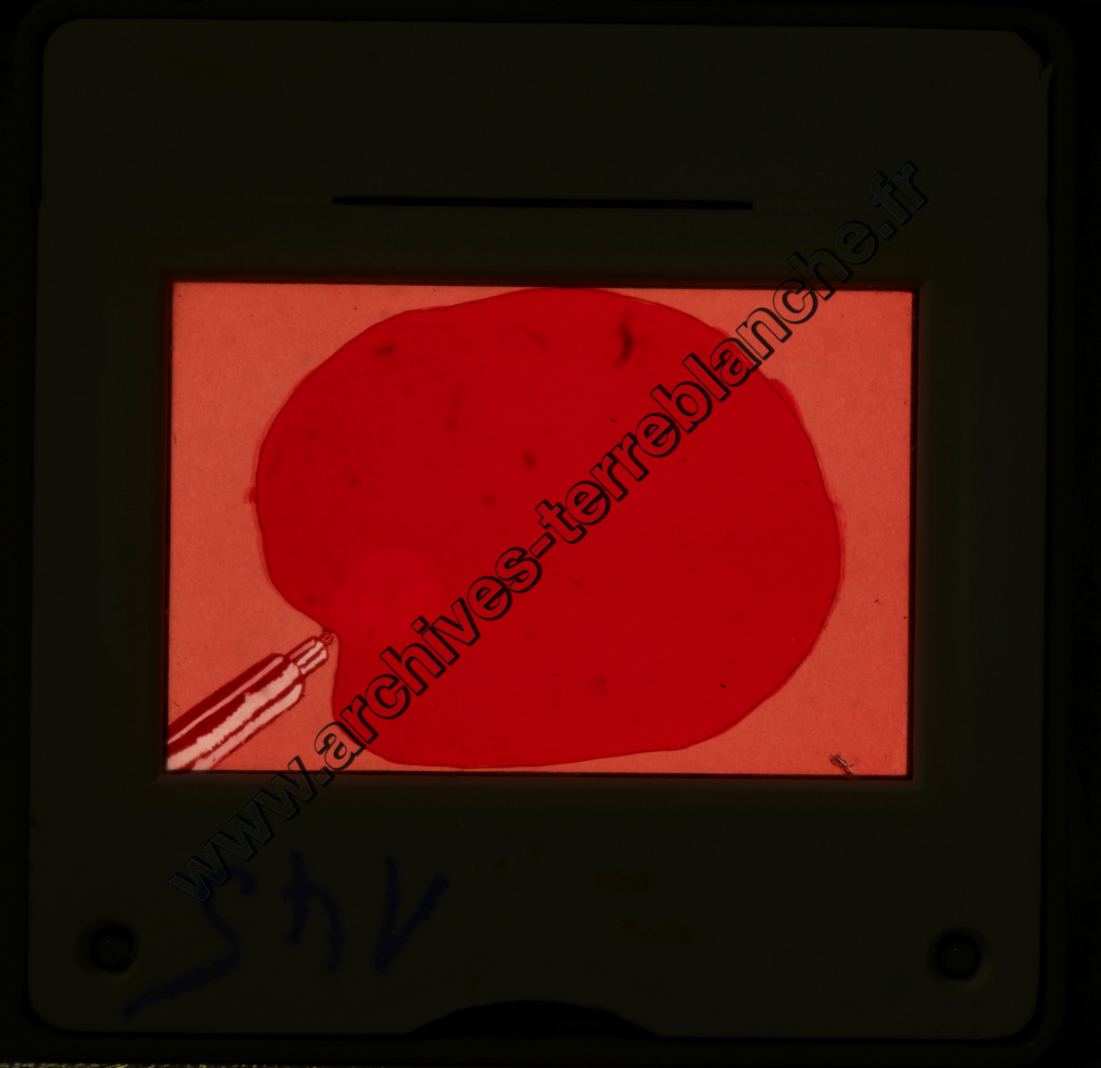 Peugeot Nomenclature Audio-Visuel n°1(partie 2)